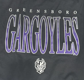 Gargoyles District Triblend Black Vintage 15 T-shirt